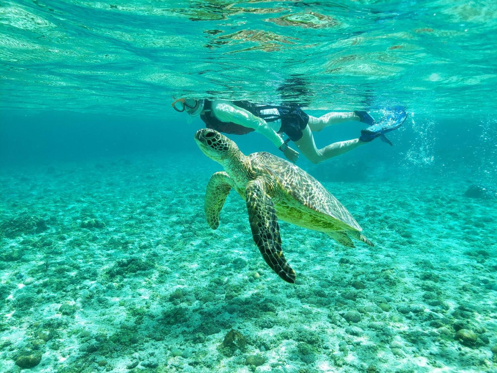 Wellness Villa Brisa Miyakojima  Екстериор снимка